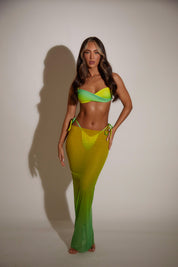 Ombre Mesh Skirt - Yellow and Green